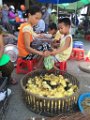 IMG_3759