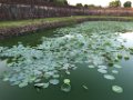 IMG_3674