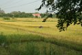 IMG_8282